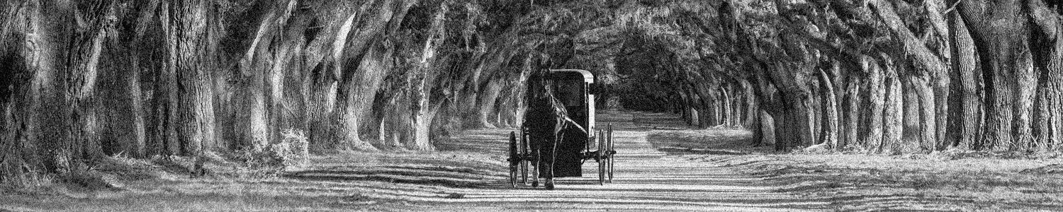 Elite-Traffic-Tradition-seit-1928_small