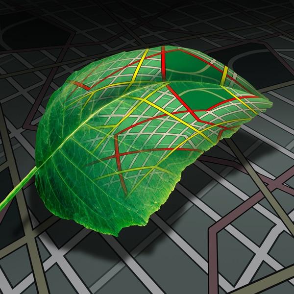 Umweltfreundlich reisen mit EliteBus