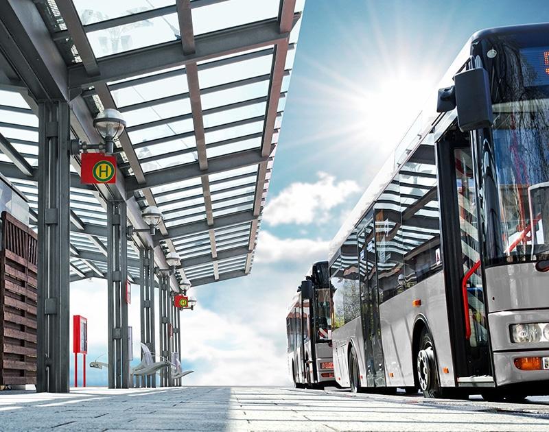 Zwei EliteBus Linienbusse stehen an einer Haltestelle.